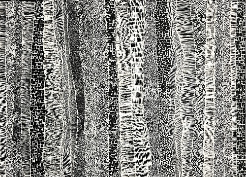 Paperbark - DTYG0074