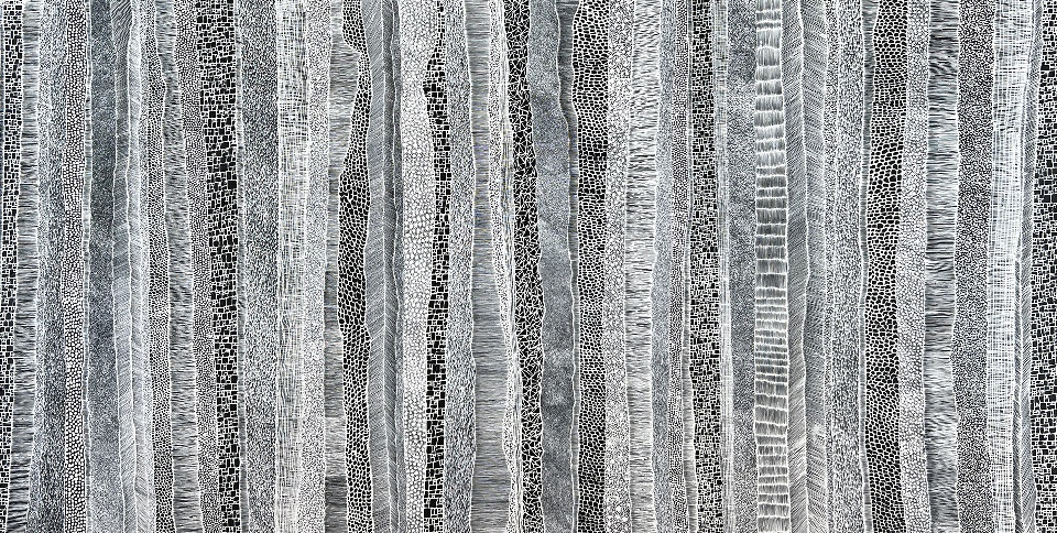 Paperbark - DTYG0077 by Dianne Tchumut