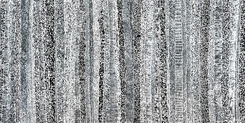 Paperbark - DTYG0077
