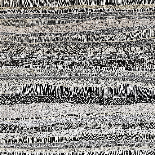 Paperbark - DTYG0079