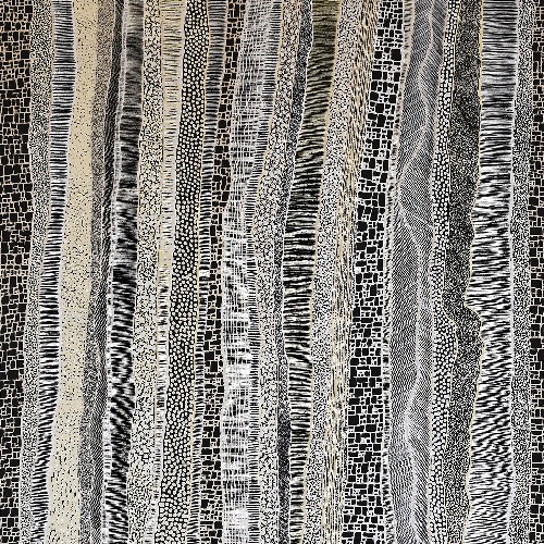 Paperbark - DTYG0080
