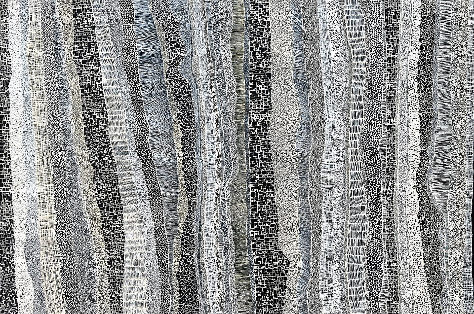 Paperbark - DTYG0060 by Dianne Tchumut