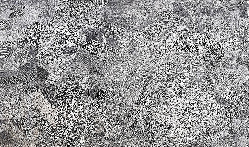 Paperbark - DTYG0070