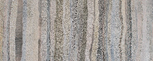 Paperbark - DTYG0115