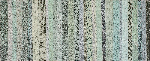 Sea Shells - DTYG0129
