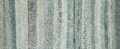 Sea Shells - DTYG0130
