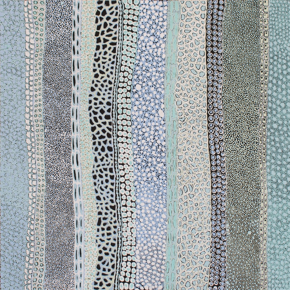 Sea Shells - DTYG0137 by Dianne Tchumut