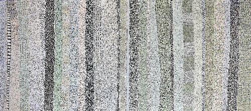 Corals - DTYG0122