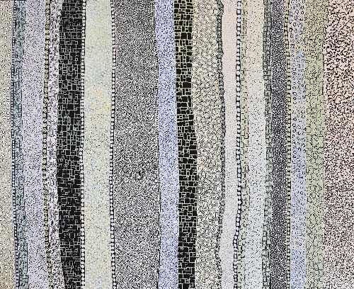 Sea Shells - DTYG0138