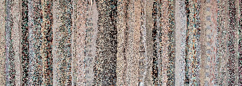 Paperbark - DTYG0143