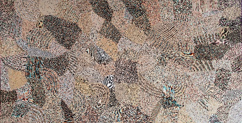 Sea Shells - DTYG0148