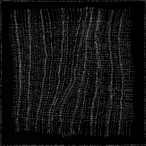 Salt on Mina Mina - DORHT1695