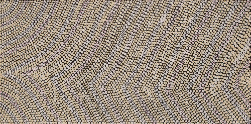 Yuparli Jukurrpa (Bush Banana Dreaming) - DNSWU4002/24