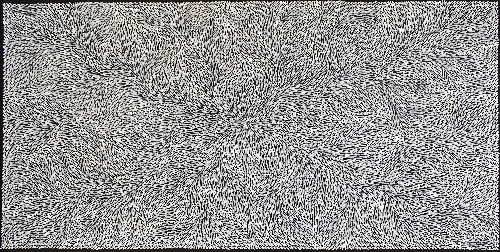 Bush Yam Leaves - DLPJ0076