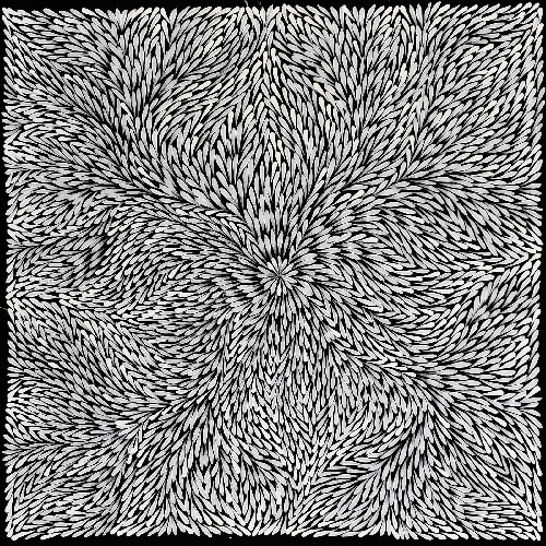 Bush Yam Leaves - DLPJ0079