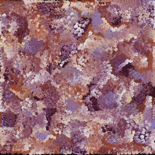 Bush Flowers - DLPJ0085