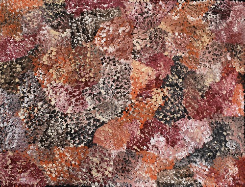 Bush Flowers - DLPJ0092