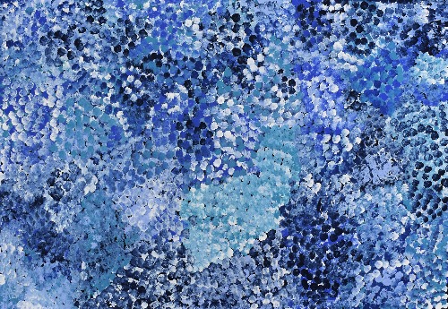 Bush Flowers - DLPJ0093