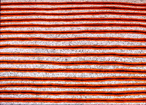 Tjiturrulpa - ENAFD0418