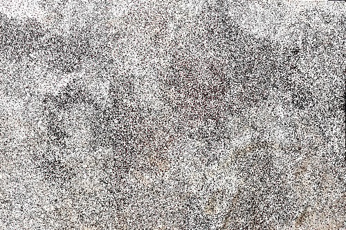 Ahakeye (Bush Plum) - EMBMB054510