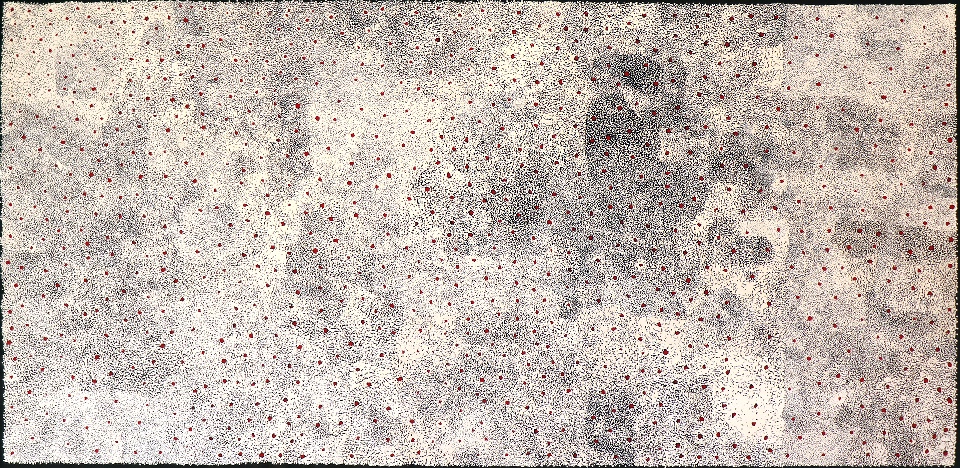 Ahakeye (Bush Plum) - EMBKOG059754 by Elizabeth Mbitjana