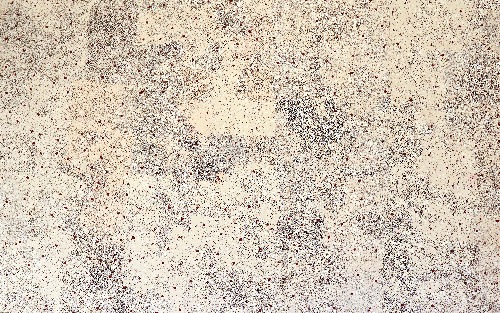 Ahakeye (Bush Plum) - EMBKOG060069