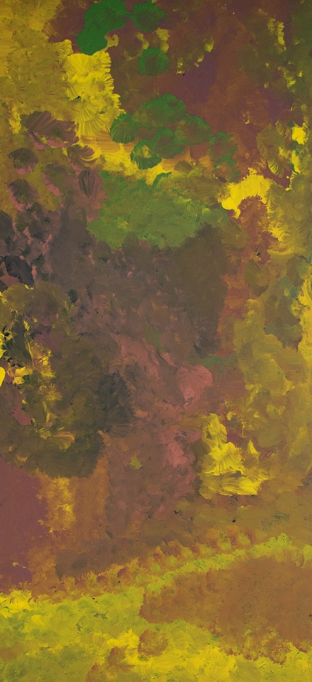 My Country - EKKHA5581 by Emily Kame Kngwarreye