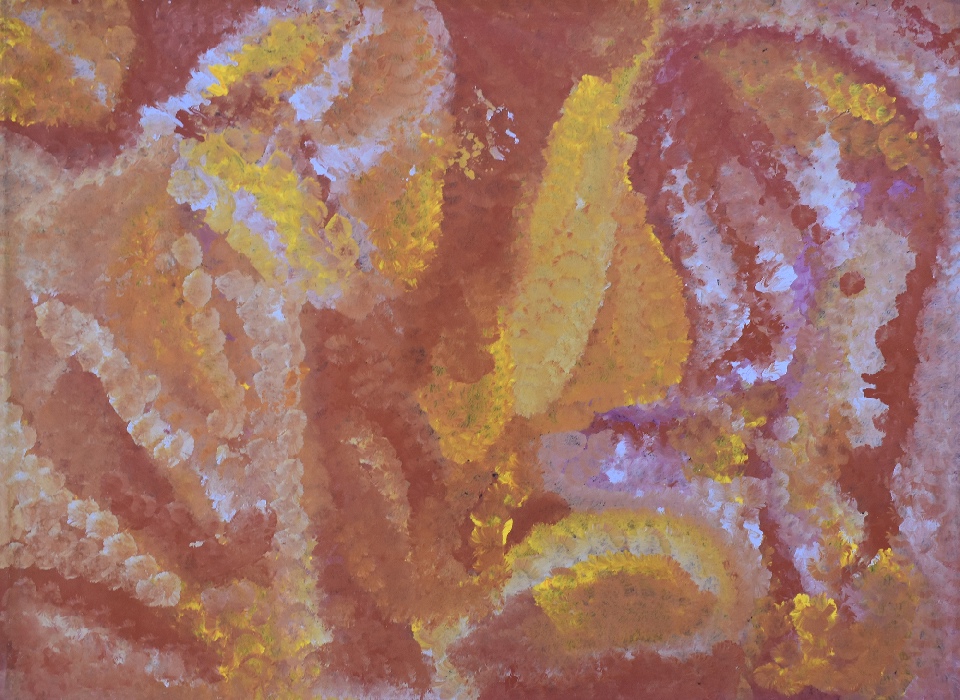 Anatye (Wild Potato) - EKKAR3602 by Emily Kame Kngwarreye