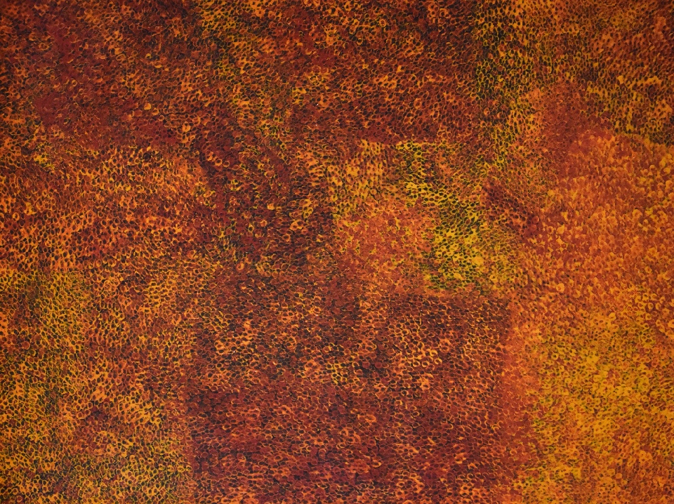 Hot Summer - EKKHJ91K23 by Emily Kame Kngwarreye