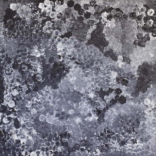 Wild Flower Dreaming - EKKGJS0722