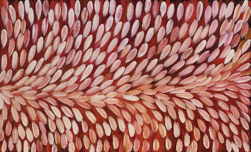 Bush Medicine - ESHG0034