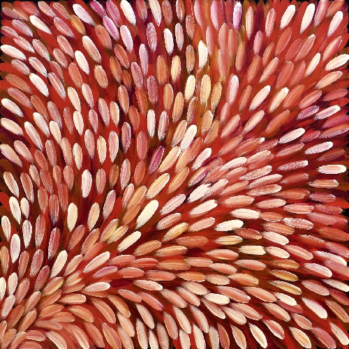 Bush Medicine - ESHG0035