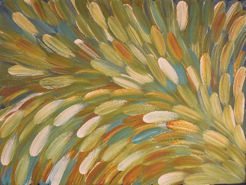 Bush Medicine - ESHG0093