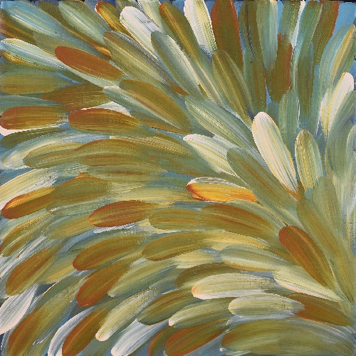 Bush Medicine - ESHG0098