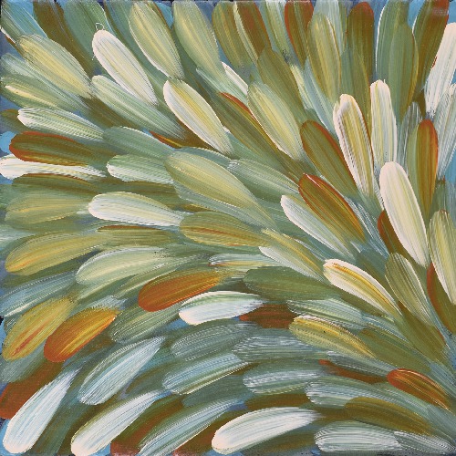 Bush Medicine - ESHG0099