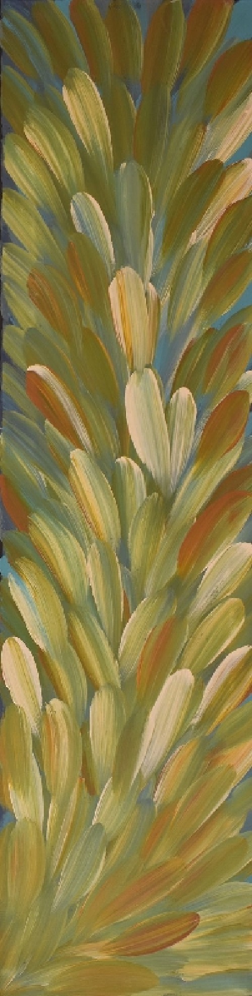 Bush Medicine - ESHG0100