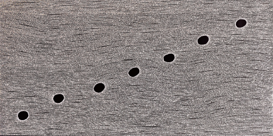 Kangaroo Hunter - EJKEK0087 by Ethan James Kotiau