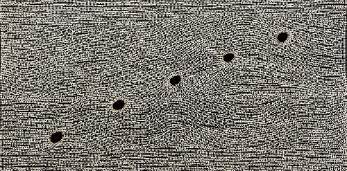 Creek Bed Tracks - EJKEK0092