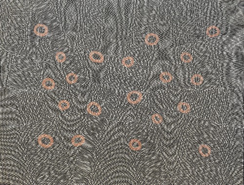 Inigai - Tracks Through Creek Bed - EJKEK0097