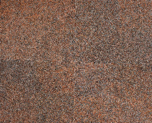 Bush Turkey Dreaming - GLKG0007