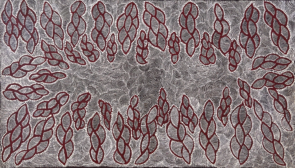 Ngurlu Jukurrpa (Native Seed Dreaming) - GNLWU276/23 by Geraldine Napurrurla Langdon