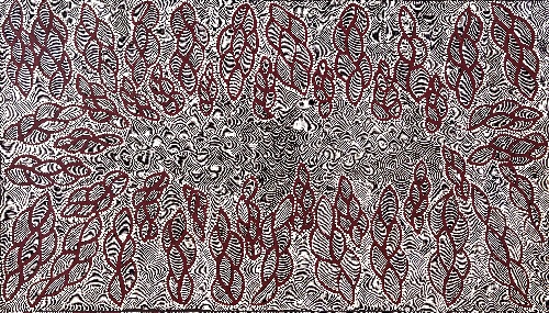 Ngurlu Jukurrpa (Native Seed Dreaming) - GNLWU276/23