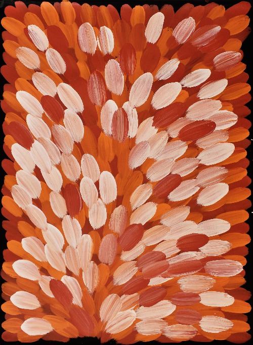 Bush Medicine Leaves - GPEAR201627 
