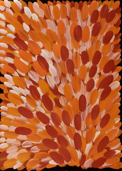 Bush Medicine Leaves - GPEAR201628 