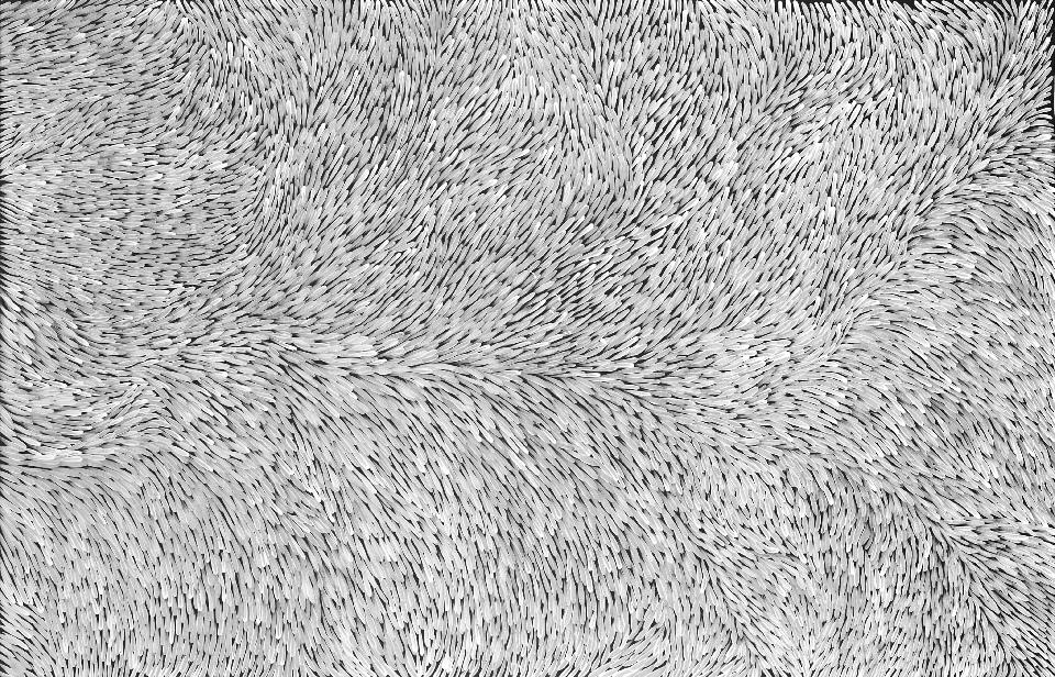 Bush Medicine - GPEHJ05079 by Gloria Petyarre