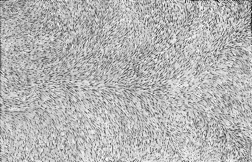 Bush Medicine - GPEHJ05079