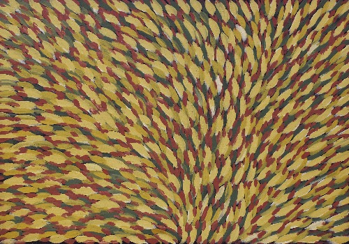 Bush Medicine Story - GPEHJ6597