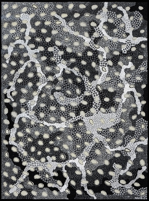 Kingingyarra (Oysters) - GOUSL013A