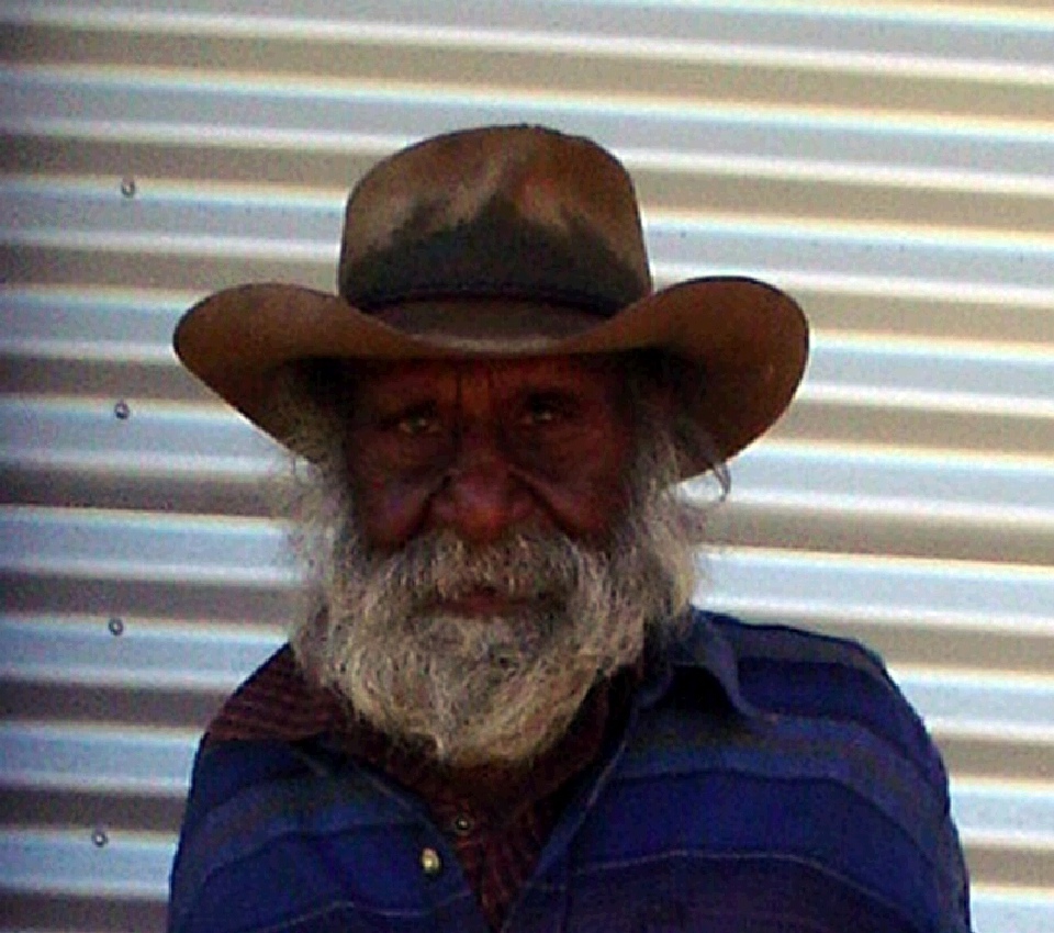 Greeny Purvis Petyarre