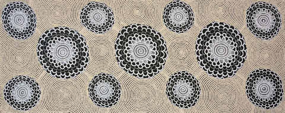 Bush Onion Dreaming - GTUYU780 by Gwenda Turner Nungurrayi